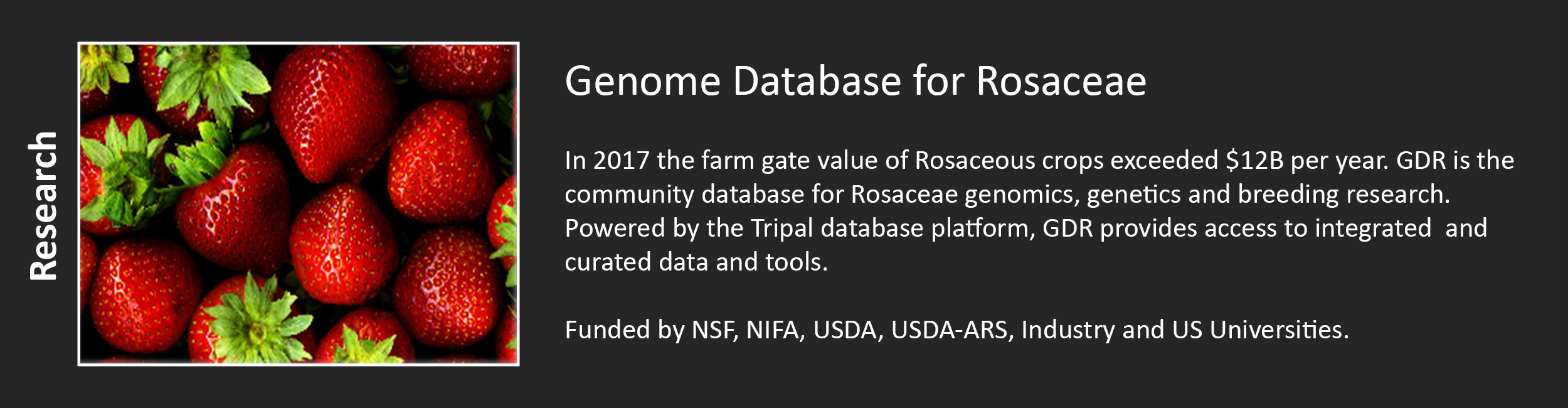 Genome Database for Rosaceae