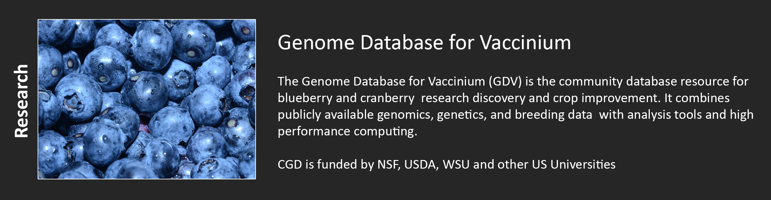 Genome Database for Vaccinium